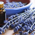 Lavender Herb And Essential Oil