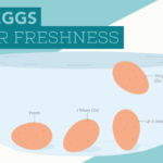 test-eggs-for-freshness
