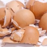 How to Effectively Heal Cavities Using Eggshells